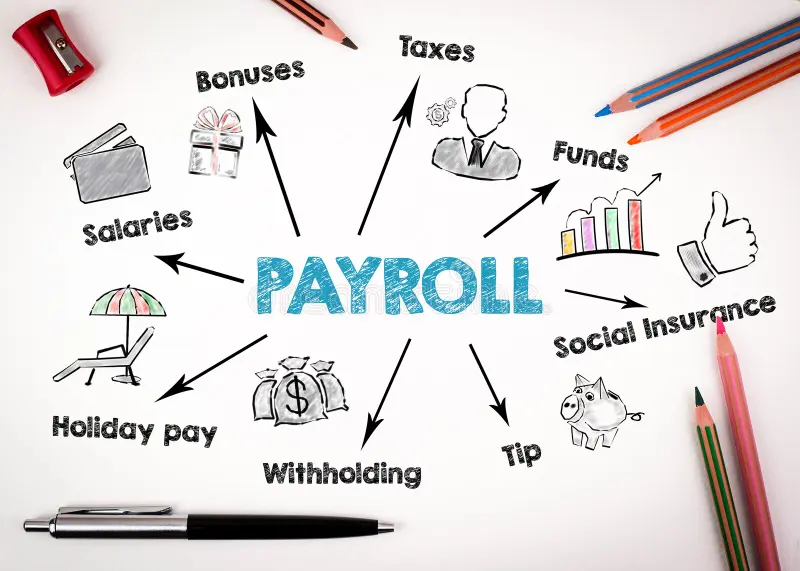 Payroll & Compliance
